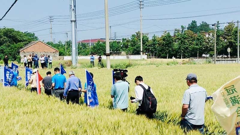 520健康植保日——擁抱綠色農(nóng)業(yè),我們?cè)谛袆?dòng)