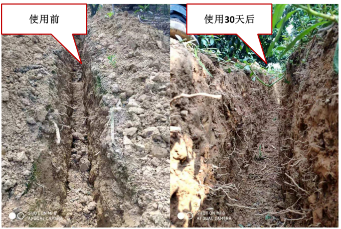 “土壤板結(jié)克星”：土壤調(diào)理劑你了解多少？