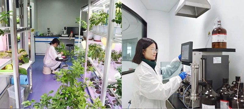 打造新朝陽生物科技“五張名片”，服務農業高質量發展！