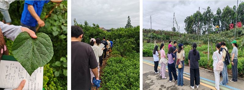 首個(gè)!中國(guó)農(nóng)業(yè)大學(xué)攜手新朝陽啟動(dòng)“朝陽稼穡計(jì)劃”